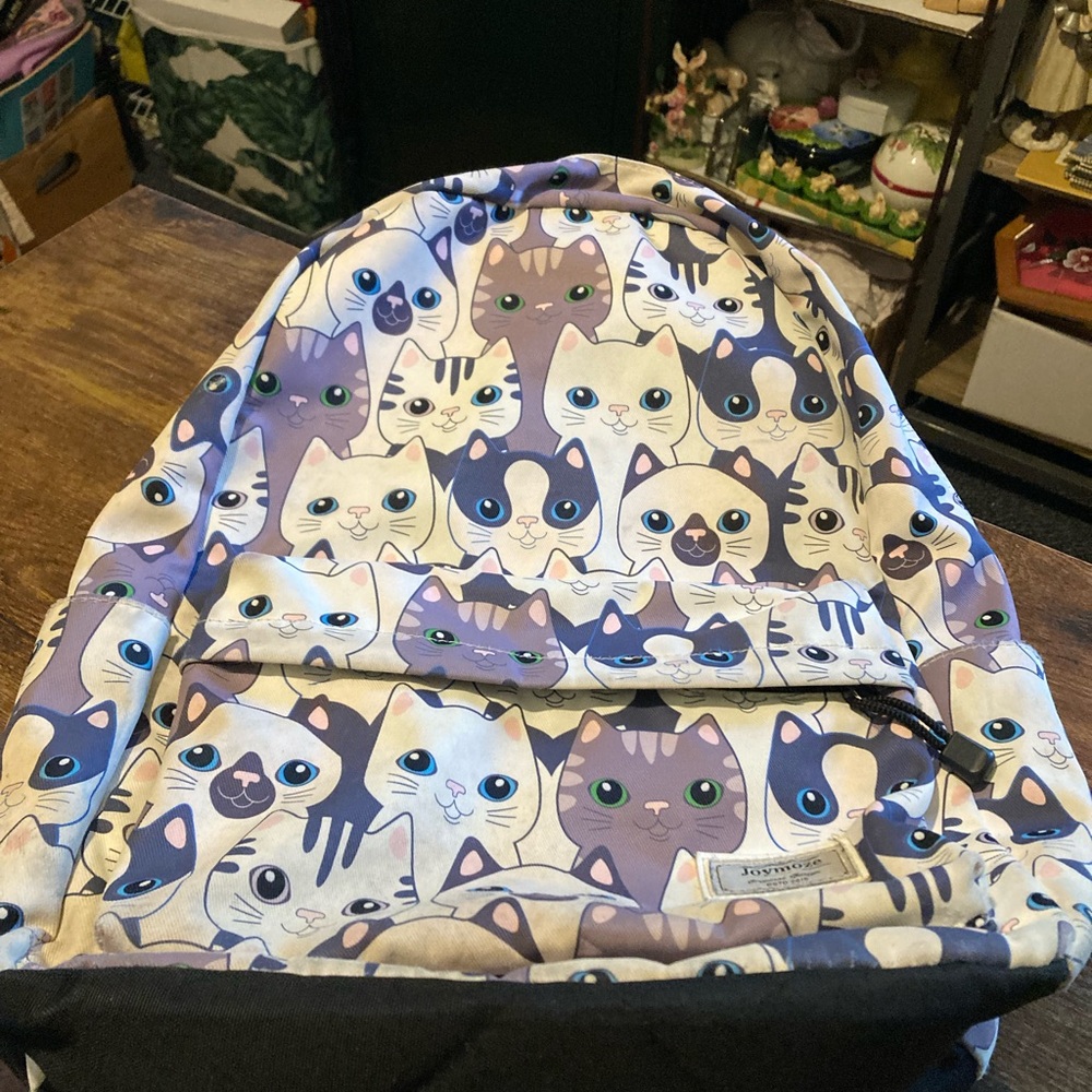 Joymoze leisure backpack for girls, teenagers, and women